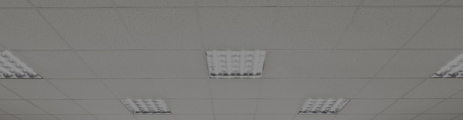 Instalaciones Cielo Americano Cecon